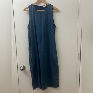 Wilfred Free Denim Dress